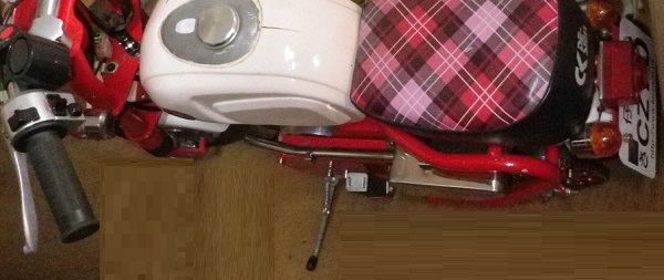 こざるCZ がすごい